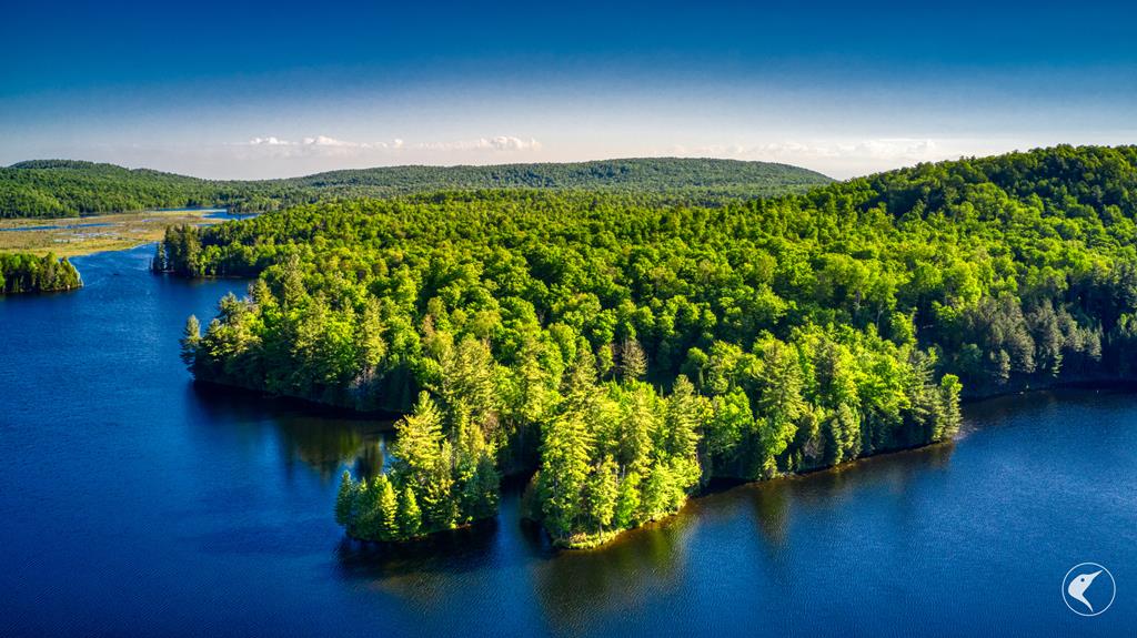 Adirondack Waterfront Homes for Sale Merrill L. Thomas, Inc.