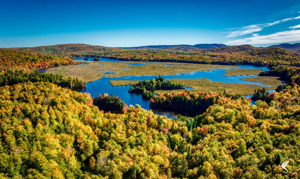 Adirondack Waterfront Homes for Sale Merrill L. Thomas, Inc.