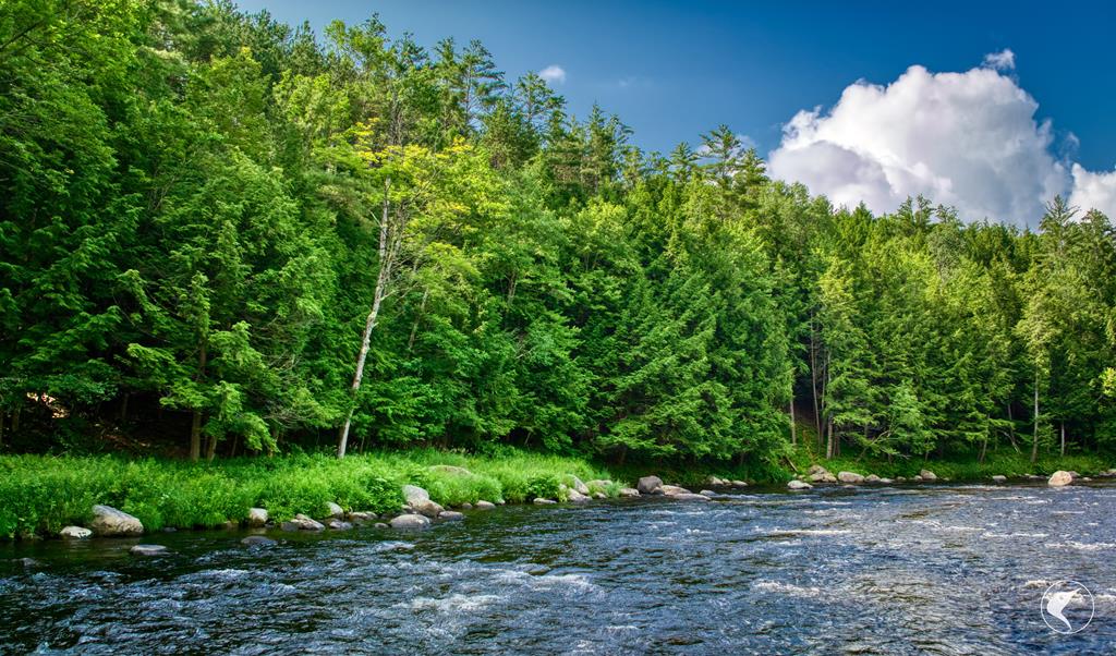 Adirondack Waterfront Homes for Sale Merrill L. Thomas, Inc.